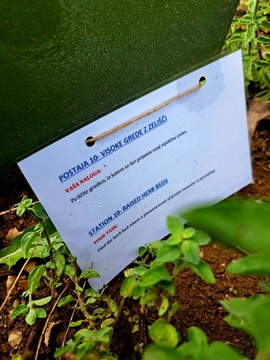 mednarodna izmenjava 7